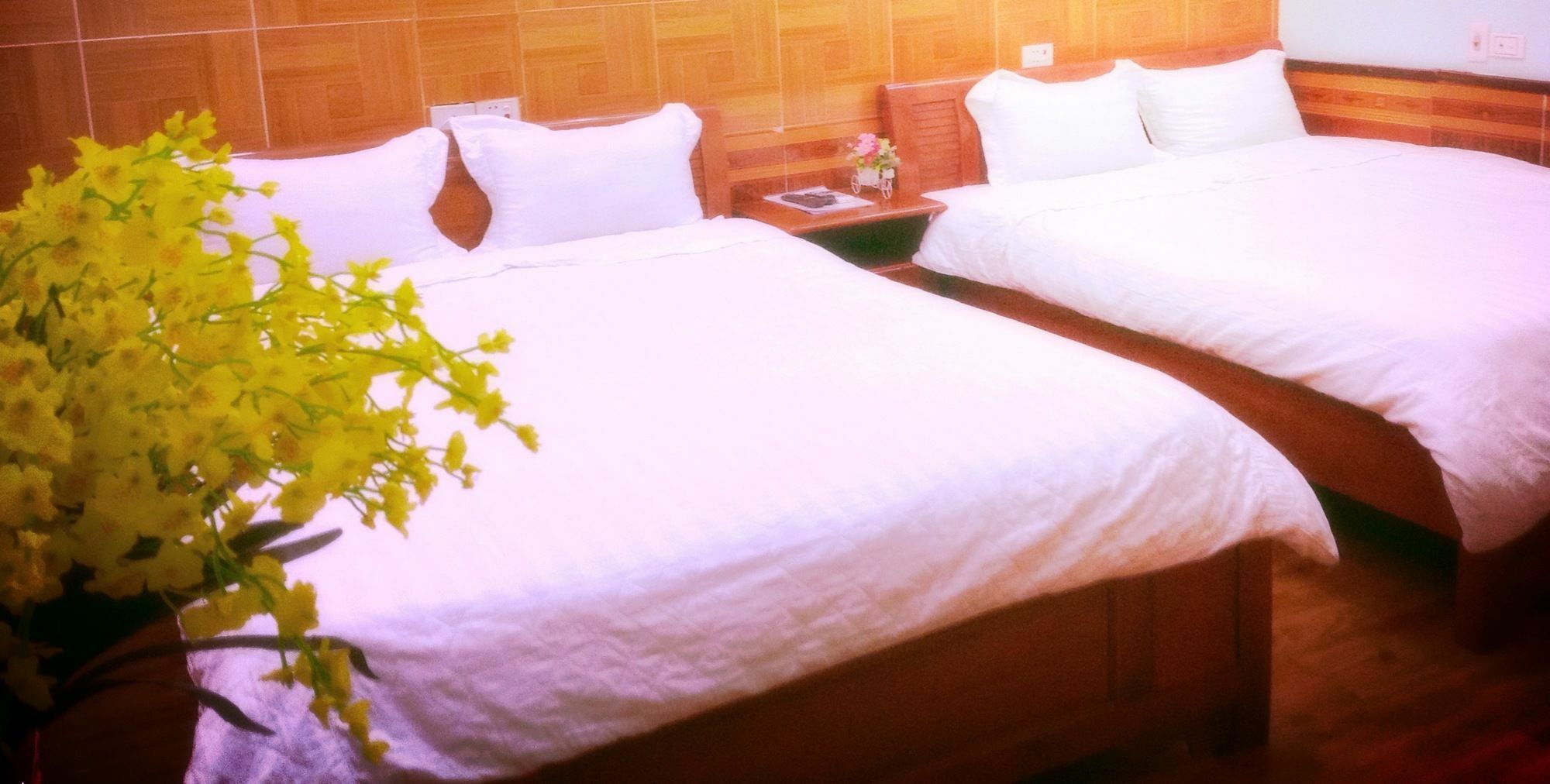 Noi Bai Family Homestay ภายนอก รูปภาพ